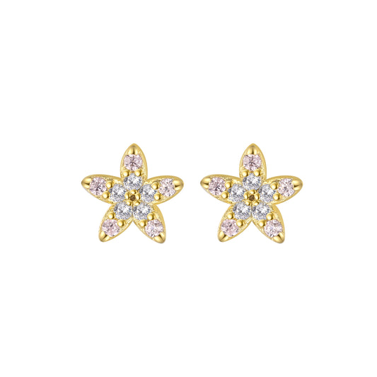 Starfish Studs