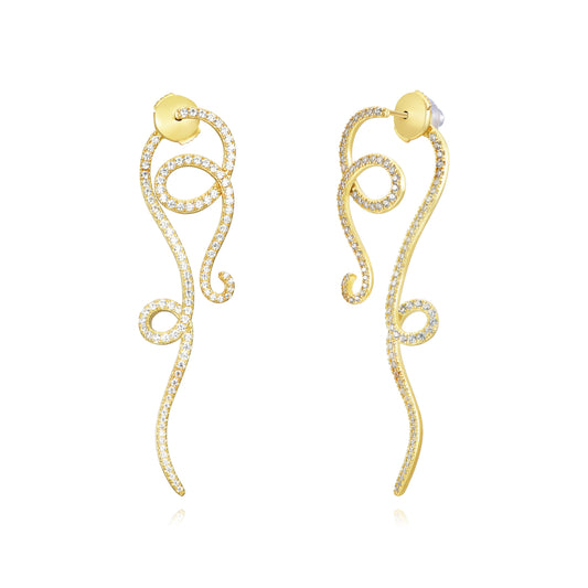 Long Elegant Earrings