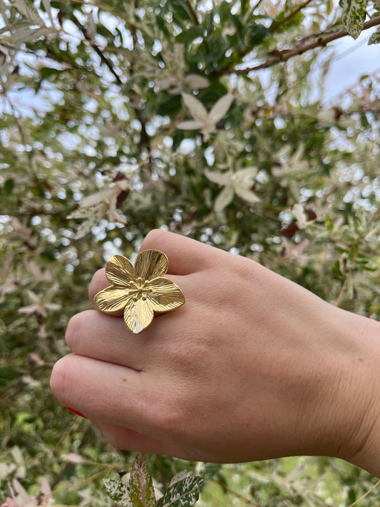 JULIA RING